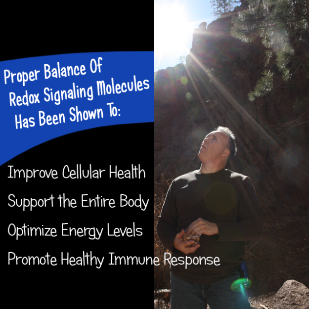 Proper Redox Balance