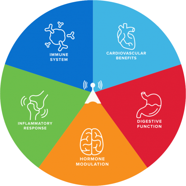 Communication Pathways