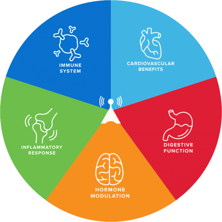 Communication Pathways