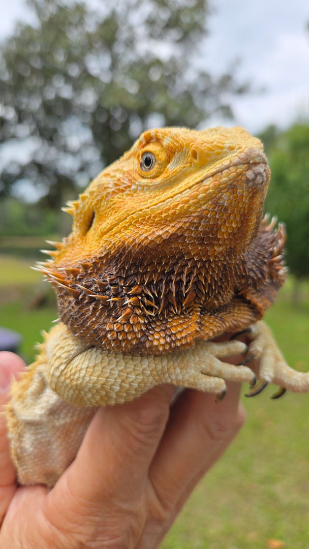 time in the sunlight time in the sunlight