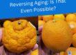 Reversing Aging
