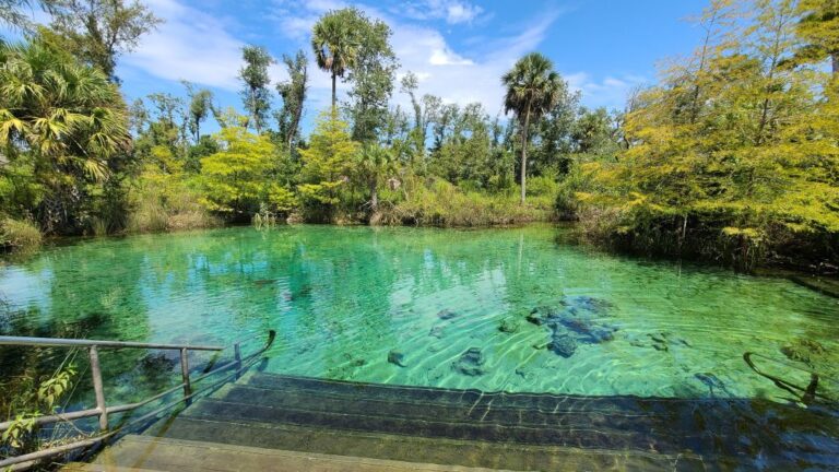 still waters run deep