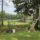 Backyard View