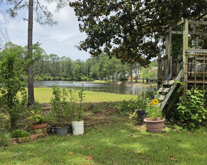 Backyard View