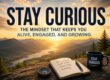 Stay Curious
