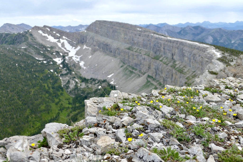 Bob Marshall Wilderness